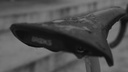 BROOKS Fahrradsattel Cambium C17, All Weather