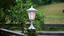 Star Trading Gartenlicht Solar Flame, Weiss