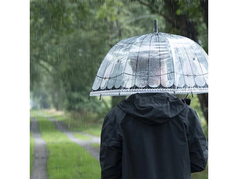 Esschert Design Schirm Vogelkäfig Rosa/Schwarz/Transparent