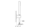 GROHE Handbrause Euphoria Cube