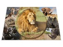 HERMA Schreibunterlage Afrika Tiere 550 x 350 mm