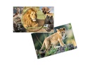 HERMA Schreibunterlage Afrika Tiere 550 x 350 mm