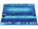 HERMA Schreibunterlage Delphin 55 x 35 cm