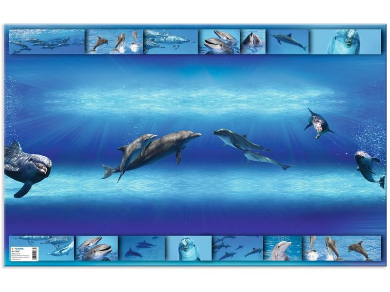 HERMA Schreibunterlage Delphin 55 x 35 cm