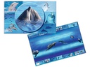 HERMA Schreibunterlage Delphin 55 x 35 cm