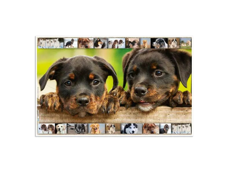 HERMA Schreibunterlage Hunde 55 x 35 cm