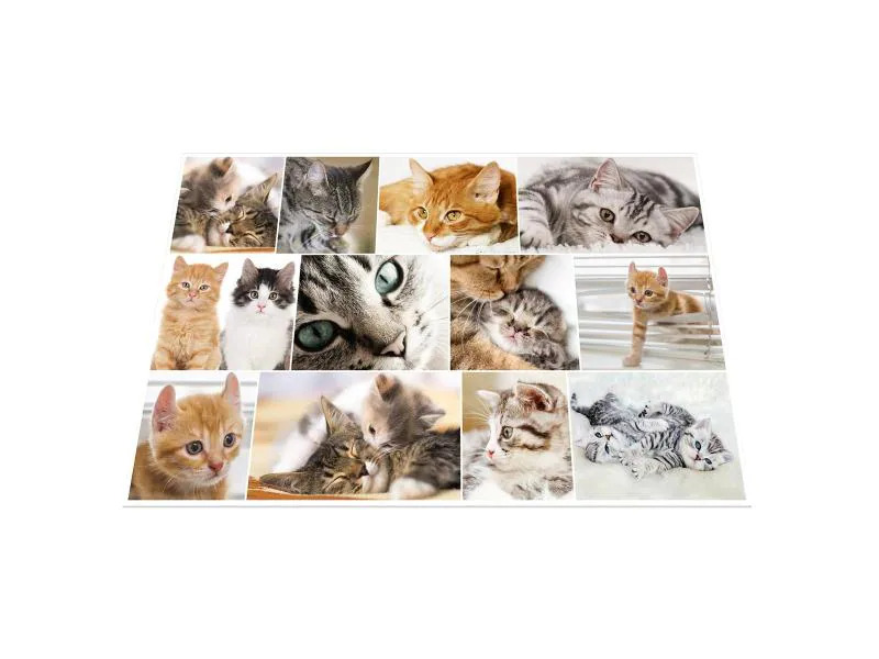 HERMA Schreibunterlage Katzen 55 x 35 cm
