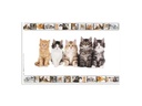 HERMA Schreibunterlage Katzen 55 x 35 cm