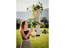 Gusta Garden Aufzuchttöpfe SISSI STRAWBERRY Hanging, Anthrazit