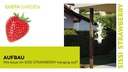 Gusta Garden Aufzuchttöpfe SISSI STRAWBERRY Hanging, Anthrazit