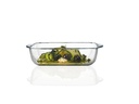 Montana Auflaufform OVEN 1.9 l Eckig, Transparent