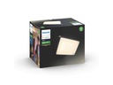 Philips Hue Aussenstrahler White, Welcome, Schwarz