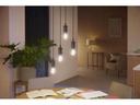 Philips Hue Leuchtmittel White Ambiance, E27, Filament, Bluetooth