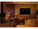 Philips Hue Leuchtmittel White Ambiance, E27, Filament, Giant Globe, BT
