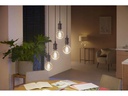Philips Hue Leuchtmittel White Ambiance, E27, Filament, Globe, Bluetooth