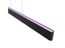 Philips Hue Pendelleuchte White &amp; Color Ambiance, Ensis, Schwarz, BT