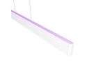 Philips Hue Pendelleuchte White &amp; Color Ambiance, Ensis, Weiss, BT