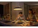 Philips Hue Pendelleuchte White Ambiance Amaze, Schwarz, Bluetooth