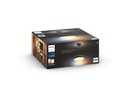 Philips Hue Pendelleuchte White Ambiance, Enrave, Schwarz, Bluetooth