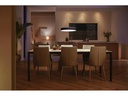Philips Hue Pendelleuchte White Ambiance, Enrave, Schwarz, Bluetooth
