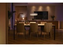 Philips Hue Pendelleuchte White Ambiance, Enrave, Weiss, Bluetooth