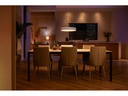 Philips Hue Pendelleuchte White Ambiance, Enrave, Weiss, Bluetooth