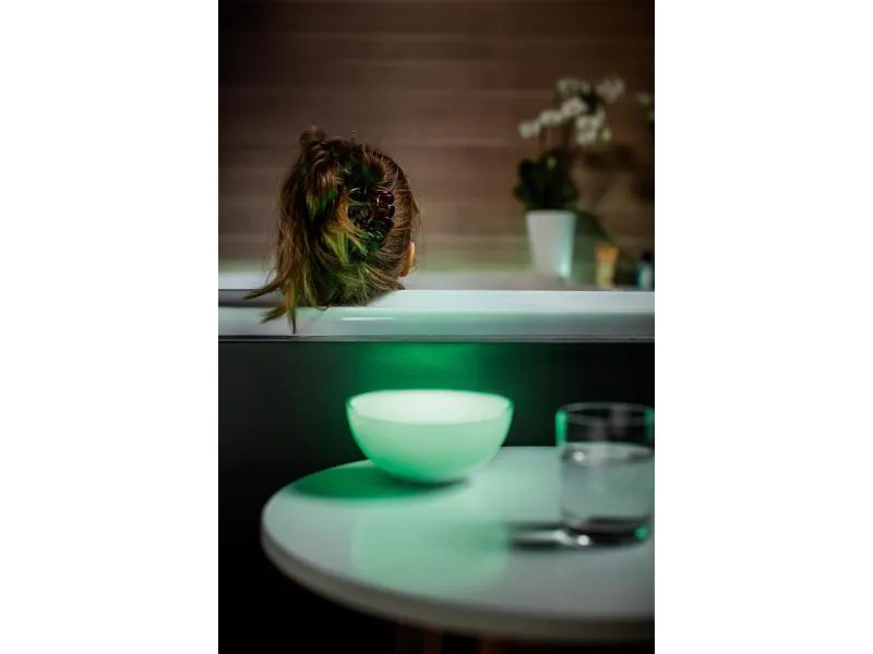 Philips Hue Tischleuchte Go Connected 76020/31/P7