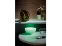 Philips Hue Tischleuchte Go Connected 76020/31/P7