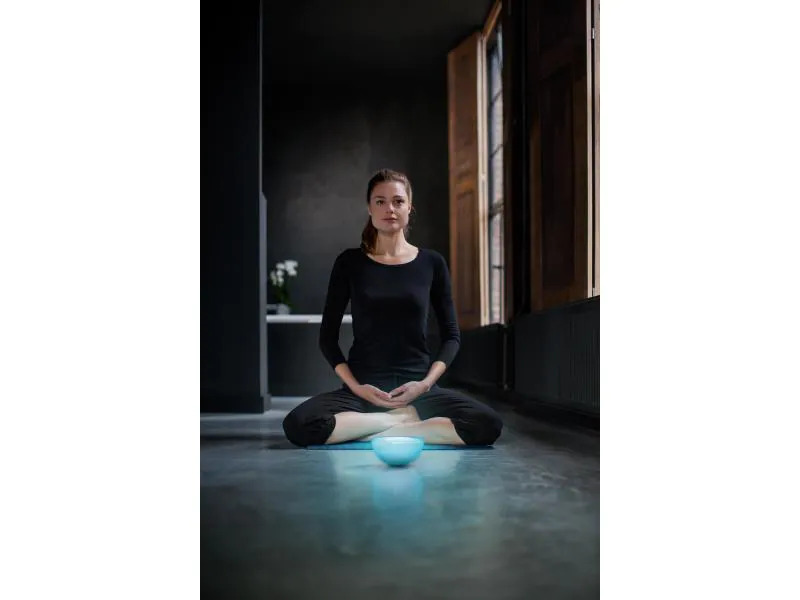 Philips Hue Tischleuchte Go Connected 76020/31/P7