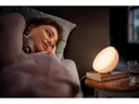 Philips Hue Tischleuchte Go Connected 76020/31/P7