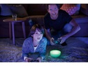 Philips Hue Tischleuchte Go Connected 76020/31/P7