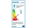 Philips Hue Tischleuchte Go Connected 76020/31/P7