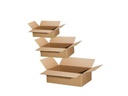 Antalis Faltkarton 1-wellig BRANOwell 30.5 x22 x 10 cm, 25 Stück