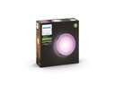 Philips Hue Wandleuchte Daylo 17465/47/P7 Silber