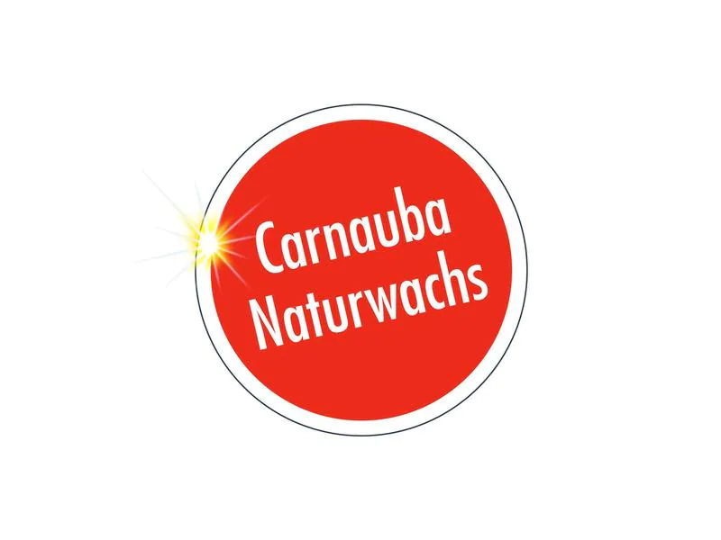 Sonax Sprühwachs Carnauba HighSpeedWax 500 ml