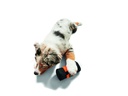 Hunter Snack-Tasche Trainer Dummy S, Orange