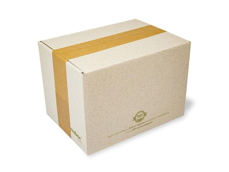 Antalis Versandkarton aus Graspapier 22 x 16 x 15 cm, 25 Stück