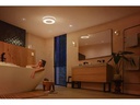 Philips Hue Badezimmerleuchte White &amp; Color Ambiance, Xamento L, BT