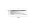 Philips Hue Badezimmerleuchte White &amp; Color Ambiance, Xamento L, BT