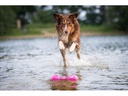 Wolters Hunde-Spielzeug Aqua-Fun Gym, 23 cm