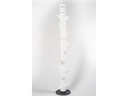 Gusta Garden Aufzuchttöpfe SISSI STRAWBERRY Infinity, Weiss