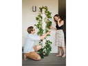 Gusta Garden Aufzuchttöpfe SISSI STRAWBERRY Infinity, Weiss
