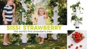 Gusta Garden Aufzuchttöpfe SISSI STRAWBERRY Infinity, Weiss