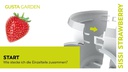 Gusta Garden Aufzuchttöpfe SISSI STRAWBERRY Infinity, Weiss