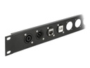Delock Keystone-Modul D-Typ 3.5 mm Klinkenbuchse zu Terminalblock