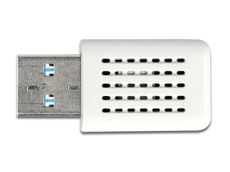Delock WLAN-AC USB-Adapter 12770 mit WLAN