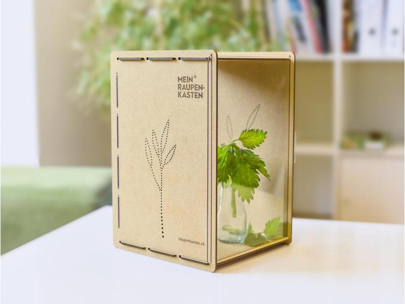 Mein Raupenkasten Insektenhotel Raupenkasten