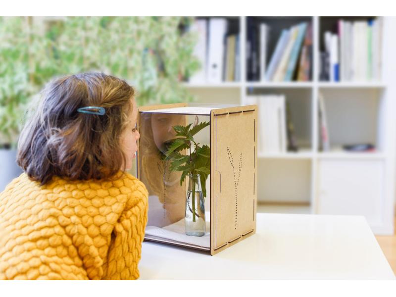 Mein Raupenkasten Insektenhotel Raupenkasten