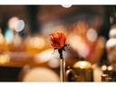 TTArtisan Festbrennweite APS-C 50 mm F0.95 – Canon RF