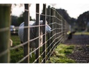 TTArtisan Festbrennweite APS-C 50 mm F0.95 – Sony E-Mount